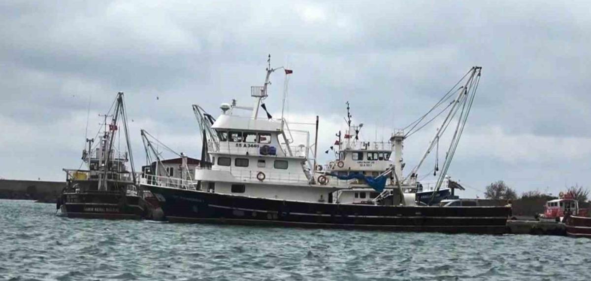 Samsun’dan 20 Bin Ton Su ve Hayvansal Ürün İhracatı