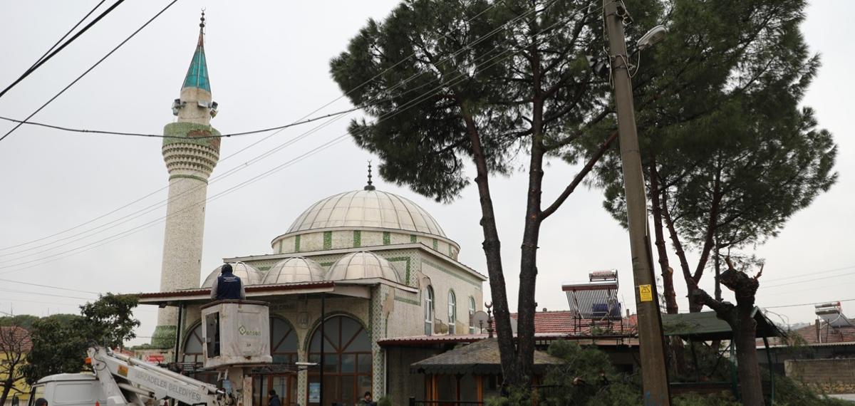 Şehzadeler Belediyesi’nin Budadığı Dallar İhtiyaç Sahiplerinin Ocağını Isıtıyor