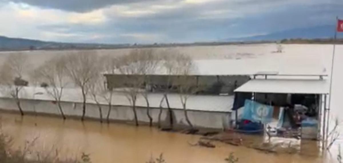 Sel Sularının Ortasındaki Depoda Mahsur Kalan Köpekler Yürek Burktu