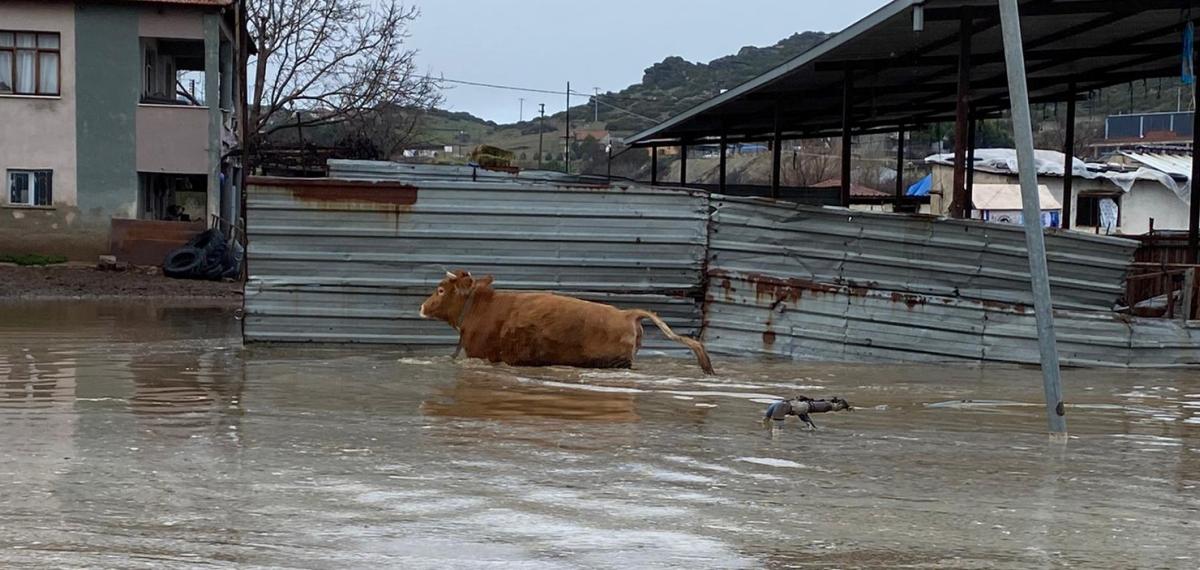 Şiddetli Yağışlar Kula’da Taşkınlara Yol Açtı