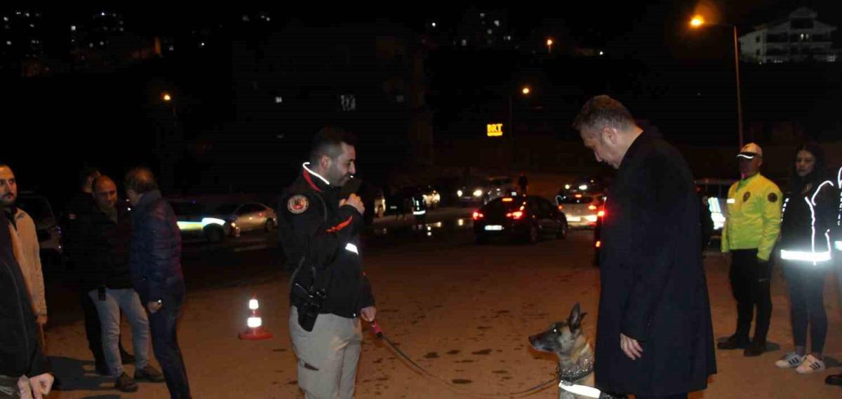 Şırnak’ta 700 Polisin Katılımı ile “Narko Alan” Uygulaması