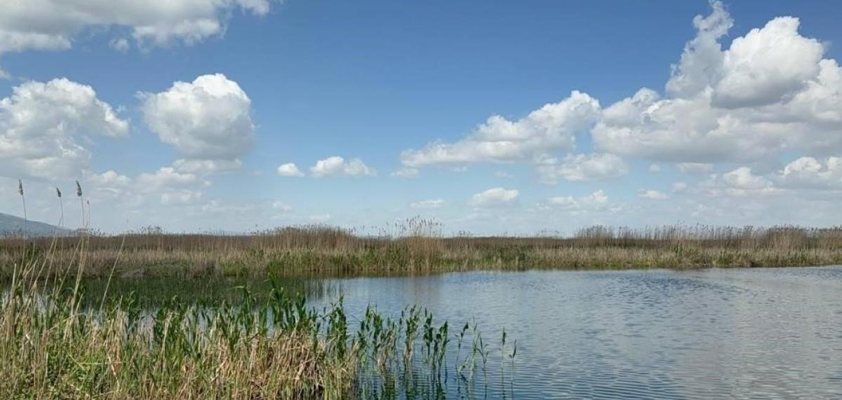 Sultan Dağları’ndaki Kar Eber Gölü ve Kiraza Umut Oldu