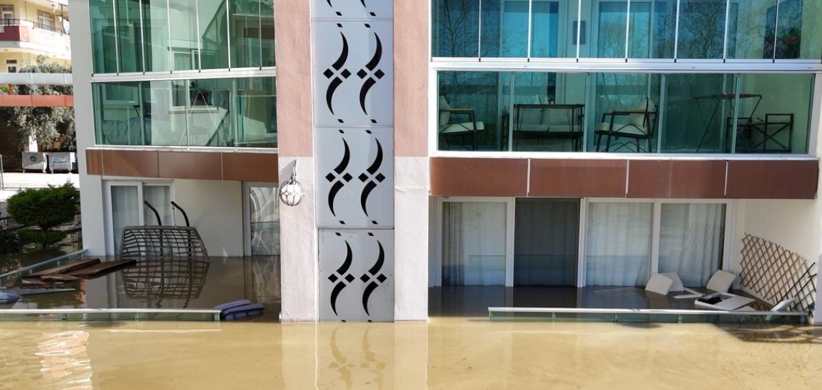 Taşan Çaydaki İşletme Yıkıldı, Sulara Kapılmak Üzere Olan Bir Köpek Son Anda Kurtarıldı