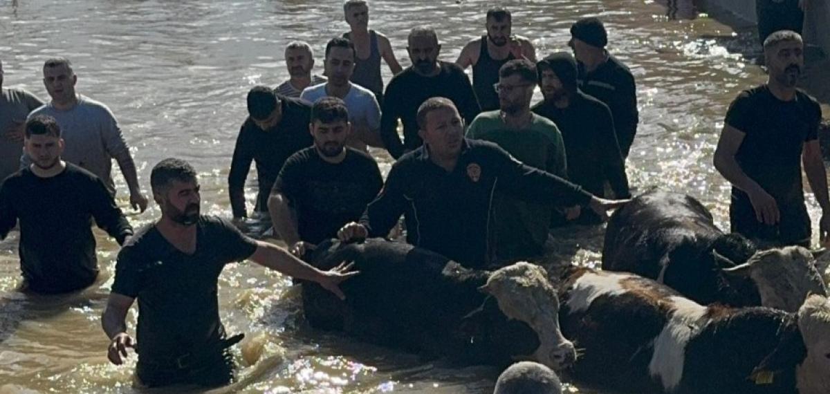 Taşan Gediz Nehri Dolayısıyla Mahsur Kalan 44 Kişi ve 127 Hayvan Kurtarıldı