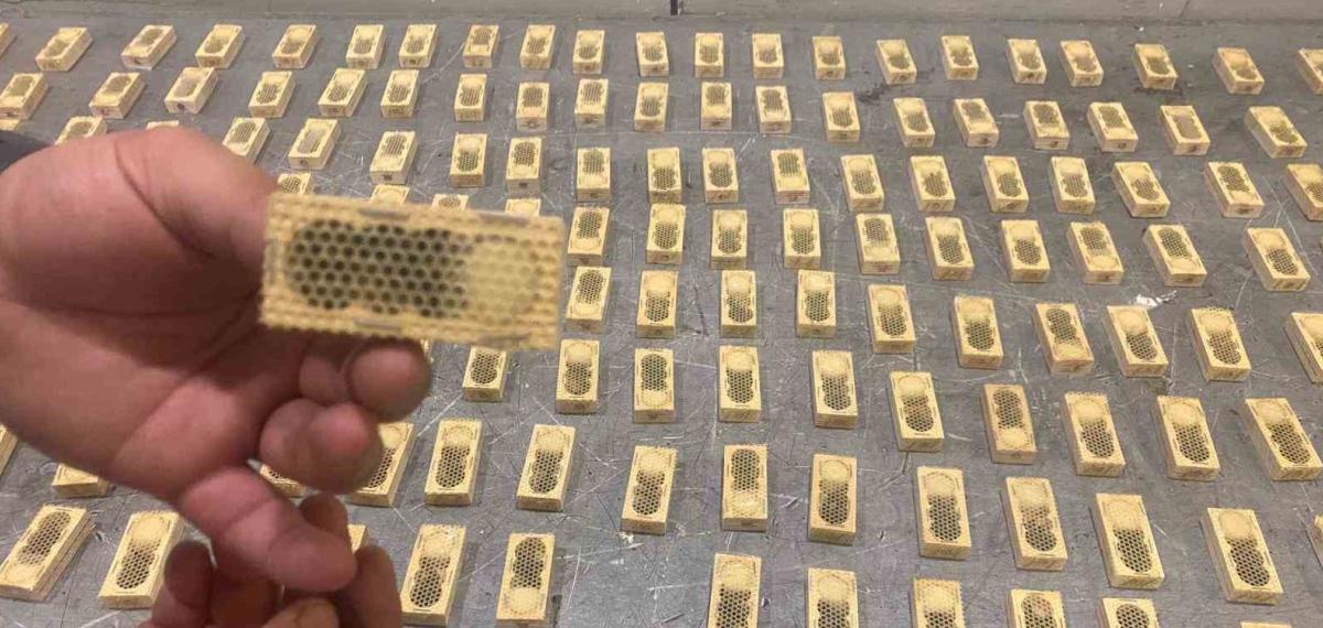 Ticaret Bakanlığı, 2025 Yılında da Kaçak Canlı Hayvan Ticaretine Geçit Vermedi