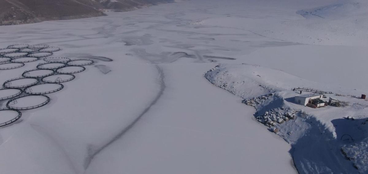 Van’da Sibirya Soğukları: Dev Barajlar Buz Tuttu