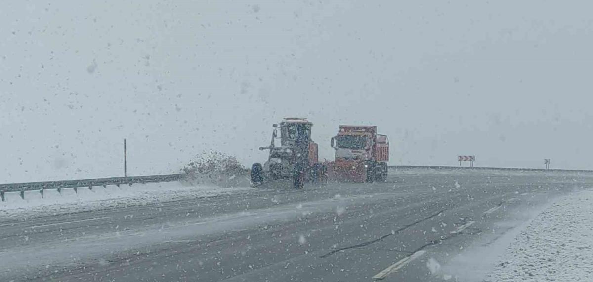 Van’ın Yüksek Kesimlerde Lapa Lapa Kar Yağdı