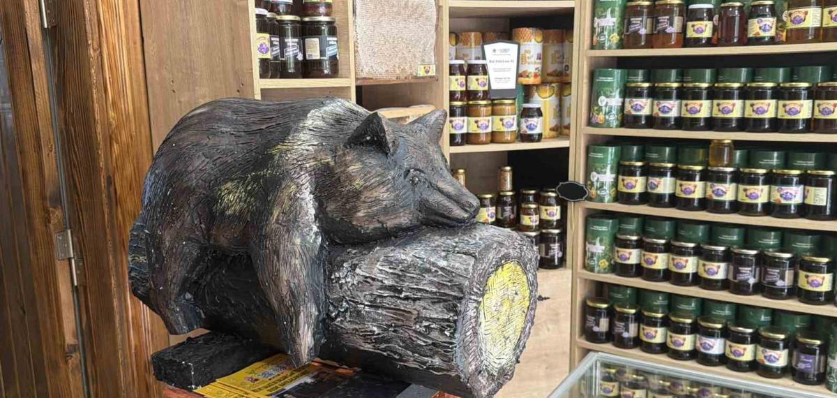 Viral Olan Ayı, Satışları Katladı: Balcı Dükkanının Başköşesine ’Bayılan Ayı’ Dekoru Yerleşti