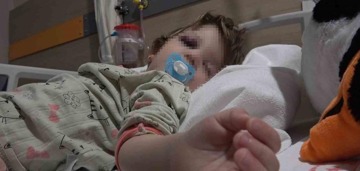 Yalova’da Komşu Kavgasında Yaralanan 14 Aylık Bebek Taburcu Edildi