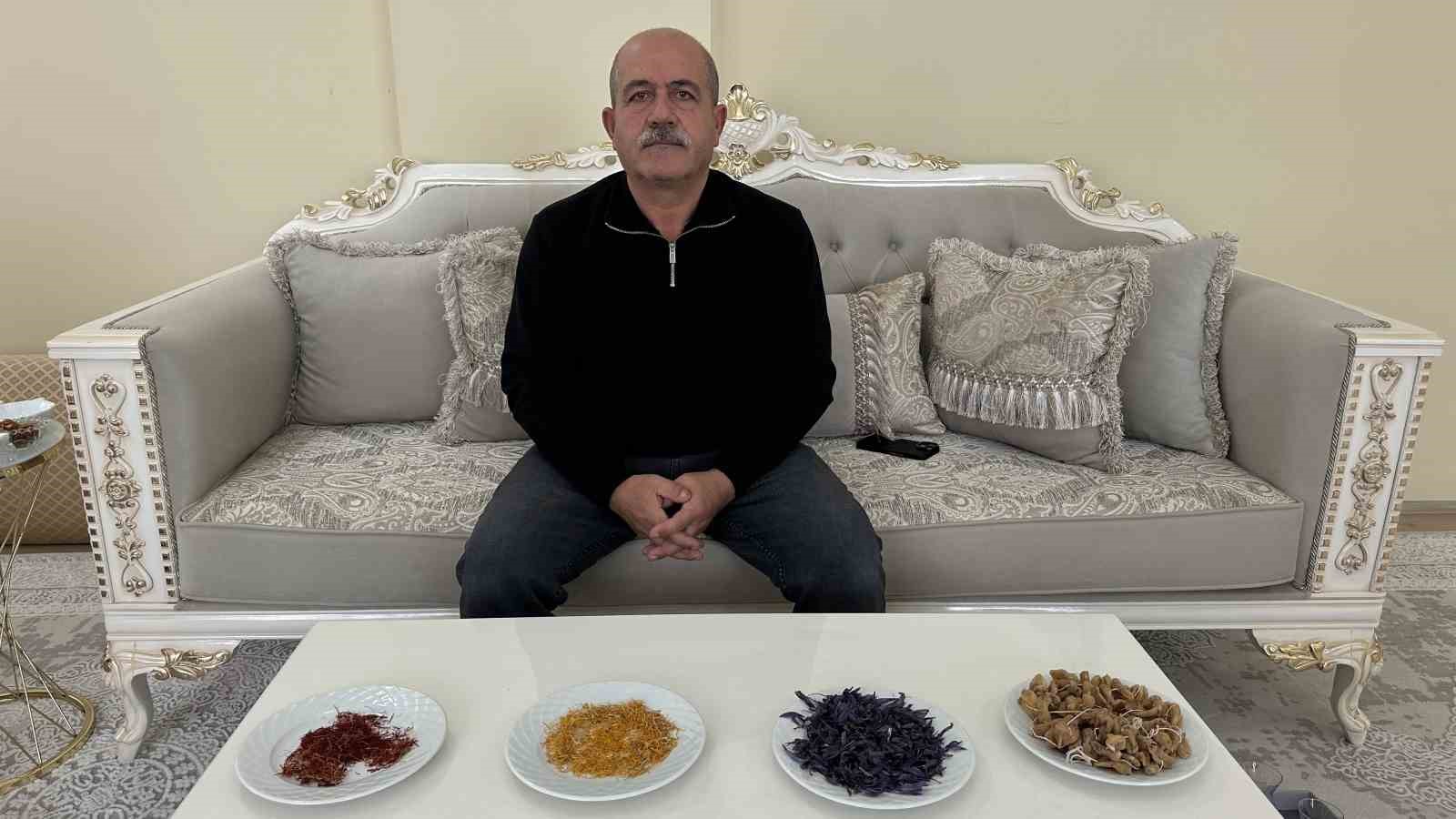 “Yapamazsın” Diyenlere İnat Yetiştirdiği Safran ve Salebi Evinde Tüketiyor