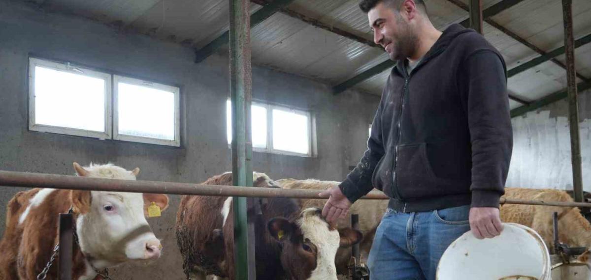 Yem Desteği Bayburtlu Çiftçinin Yüzünü Güldürdü: “Bu Destek Bize İyi Geldi”