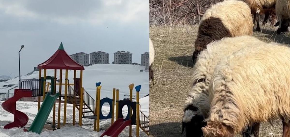 40 Kilometre Arayla İki Mevsim: Yüksekova’da Kar, Esendere’de Bahar Mesaisi