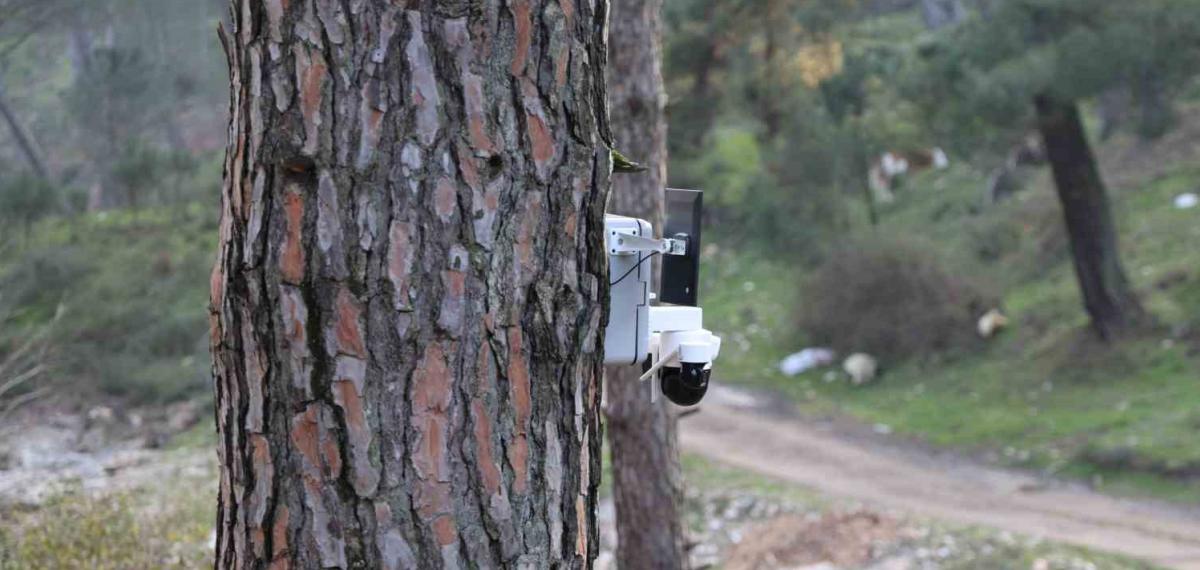 Altın Değerindeki Künara Kameralı Önlem