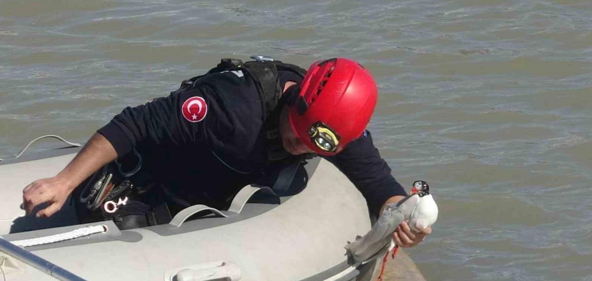 Antalya İtfaiyesinden Film Gibi Martı Kurtarma Operasyonu