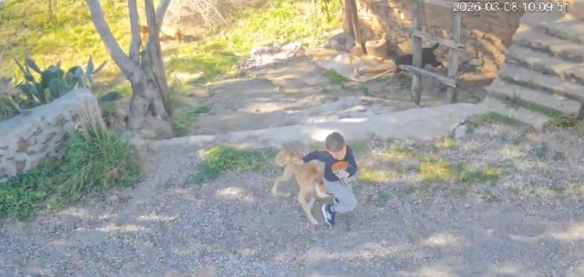 Antalya’da Sahipsiz Köpeğin Saldırısına Uğrayan 7 Yaşındaki Çocuk Hastanelik Oldu