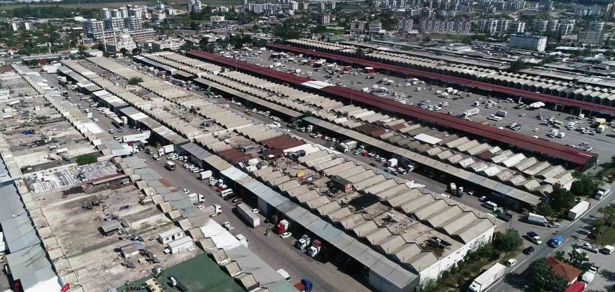 Antalya’da Şubat Ayında Meyve İşlem Miktar Endeksi Yüzde 21,34 Azaldı