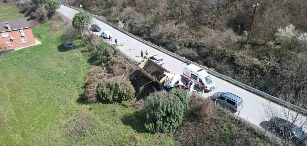 Arnavutköy’de Hafriyat Kamyonu Çayırlık Alana Uçtu, Ağaçların Devrildiği Alan Havadan Görüntülendi
