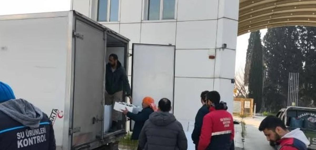 Aydın’da Nakil Belgesiz 290 Kasa Balığa El Konuldu