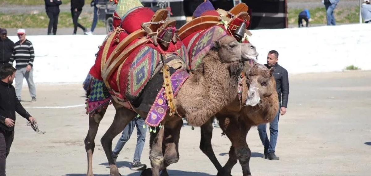 Başkan Kaya: “Bu Yıl Sezonun İlk Güreşlerini Yapmak Bizlere Nasip Oldu”