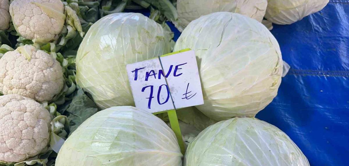 Beyaz Lahanada Ne Çiftçi Kazandı Ne de Tüketici Ucuza Yedi
