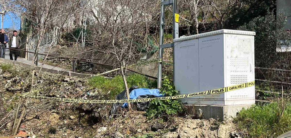 Beykoz’da Motosiklet Elektrik Direğine Çarptı: Üniversite Öğrencisi Hayatını Kaybetti