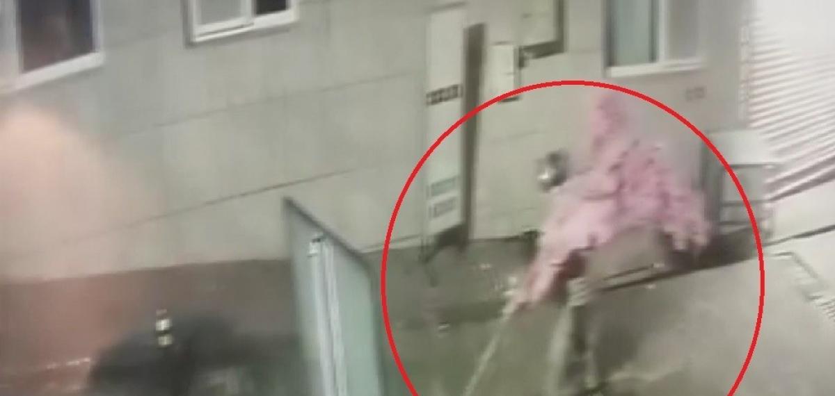 ‘Bir Kafeden Daha Fazlası’ Yazısını Fark Etti, Ağacı Sırtlayıp Gitti O Anlar Kamerada