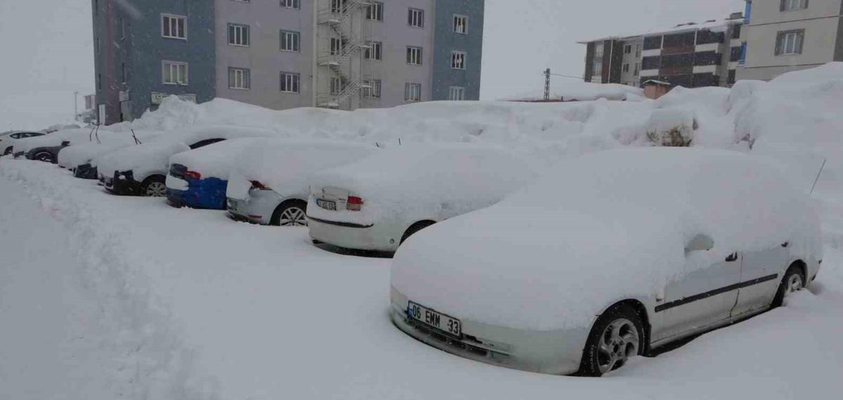 Bitlis’te Mart Karı 288 Köy Yolu Ulaşıma Kapattı