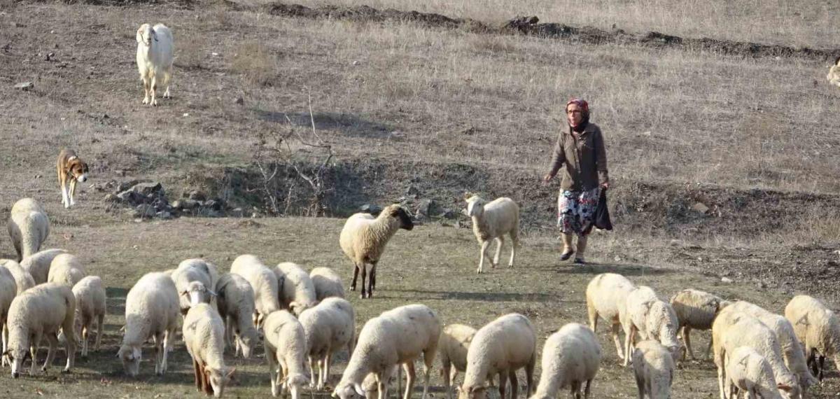 Bursa’da Boğazından Bıçaklanarak Öldürülen Kadının Eski Görüntüleri Ortaya Çıktı