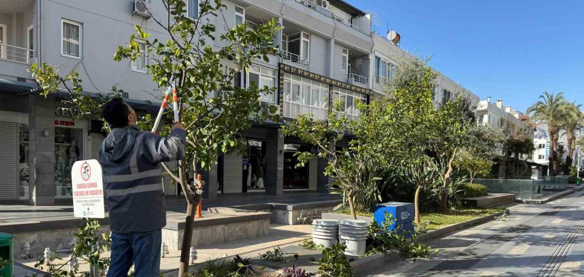 Büyükşehir’den Kemer’de Peyzaj Düzenlenesi