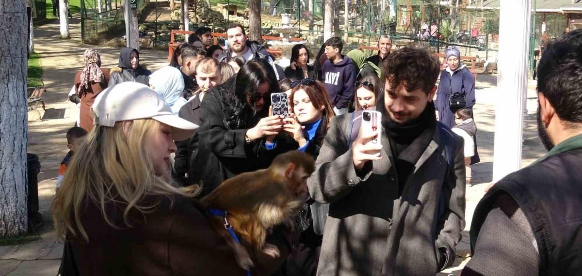 Çekmeköy’de Kadınlar 8 Mart’ı Hayvanat Bahçesinde Kutladı: Park Of İstanbul Kadınlara Ücretsiz Açıldı