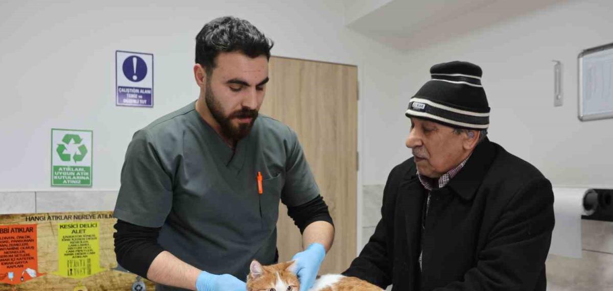 Cumhuriyet Tarihinin İlk Fakültesine Ait Hastanede, Bir Yılda 9 Bin 600 Hayvan Şifa Buldu