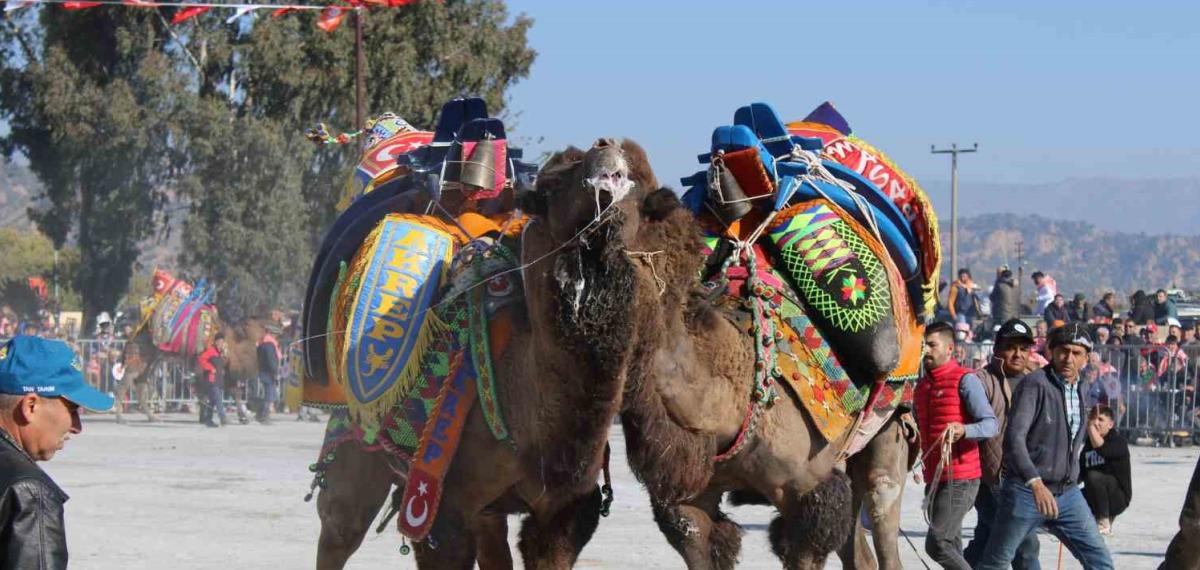 Deve Güreşlerinde, “Bu Sene Mangal Yakılmayacak, Basın Mensupları Dışarıya Çıkarılacak”
