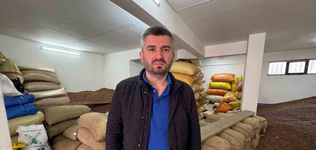 Düşmeye Devam Eden Fındık Fiyatını Yeni Sezon Rekoltesi Belirleyecek