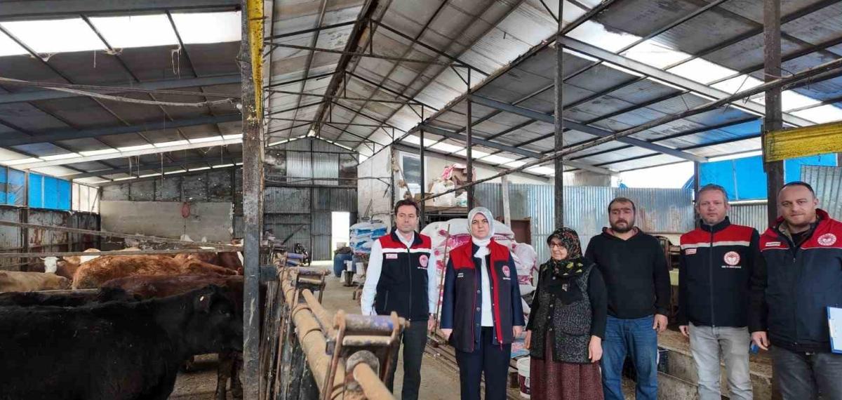 Düzce’de Kadın Yetiştiriciye Etçi Irk Düve Desteği