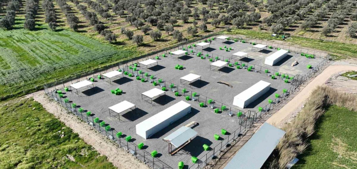 Edremit’te Can Dostlar İçin Doğal Yaşam Alanı Açılıyor
