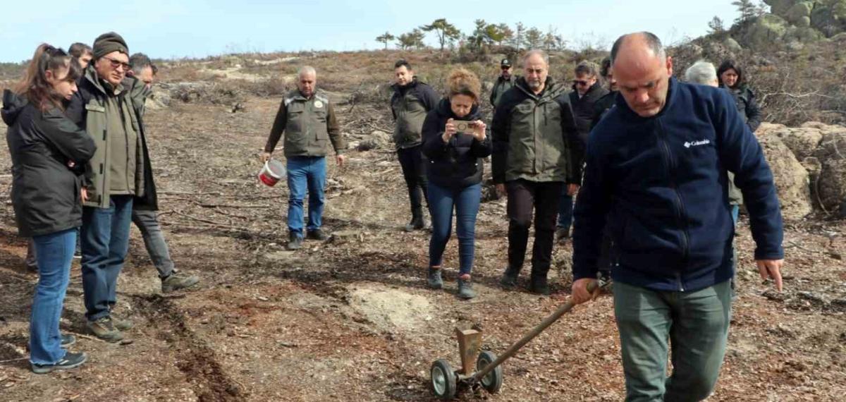 Eskişehir’de Yangın Sonrası Ağaçlandırma Çalışmaları Başladı