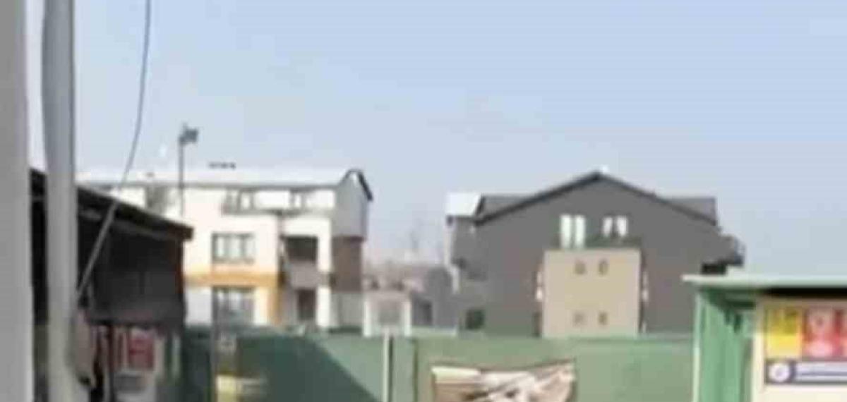 Gemlik Belediyesinin Umurbey’deki Barınağını Önünde Toplanan Hayvanseverler İçeriye Alınmadı