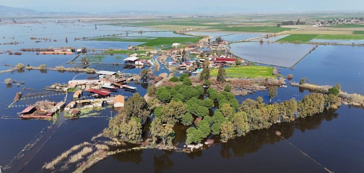 Kalcık Mahallesi, Venedik’e Döndü