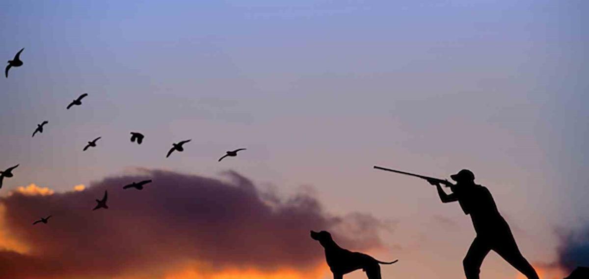 Kara Avcılığı Yasağı 1 Mart’ta Başlıyor