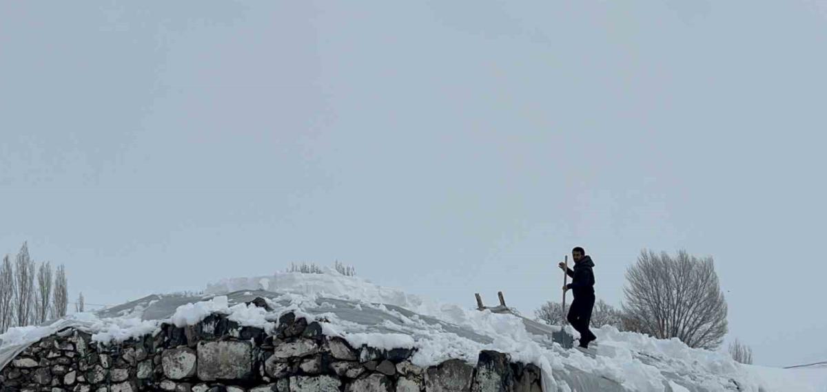 Kars’ta Köylerde Ahırlar İçin Seferberlik
