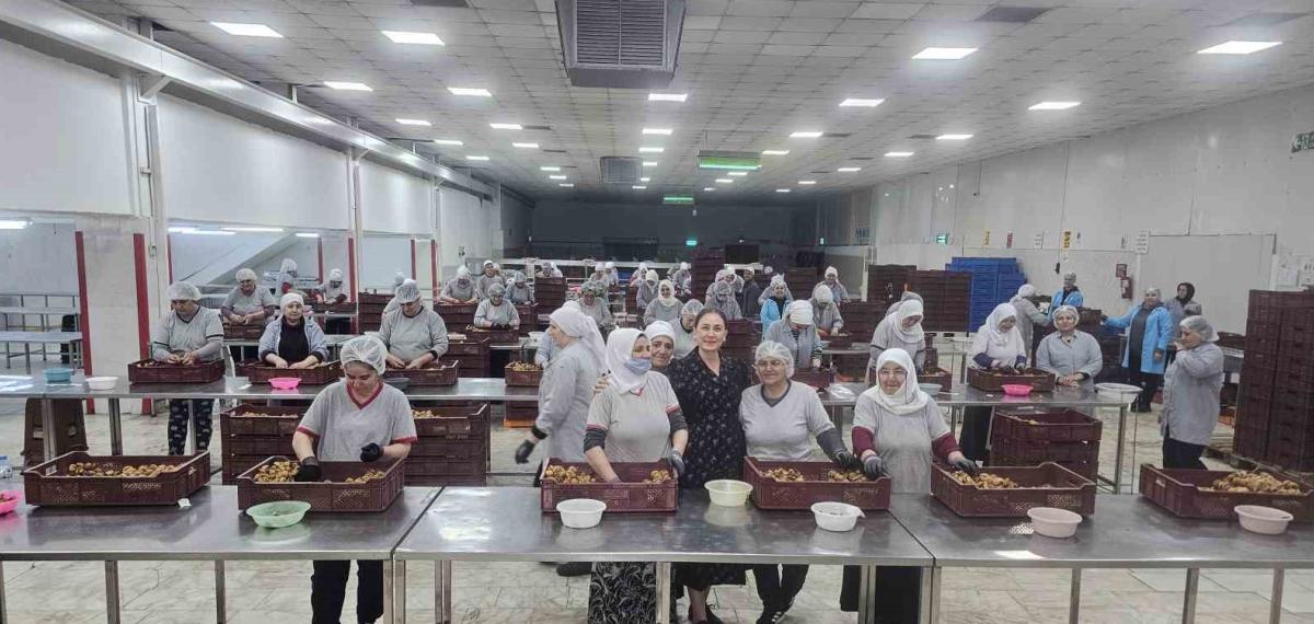 Kaymakam Kan: “Kadınlar Yine Kadınların Hayatını Kolaylaştırıyor”