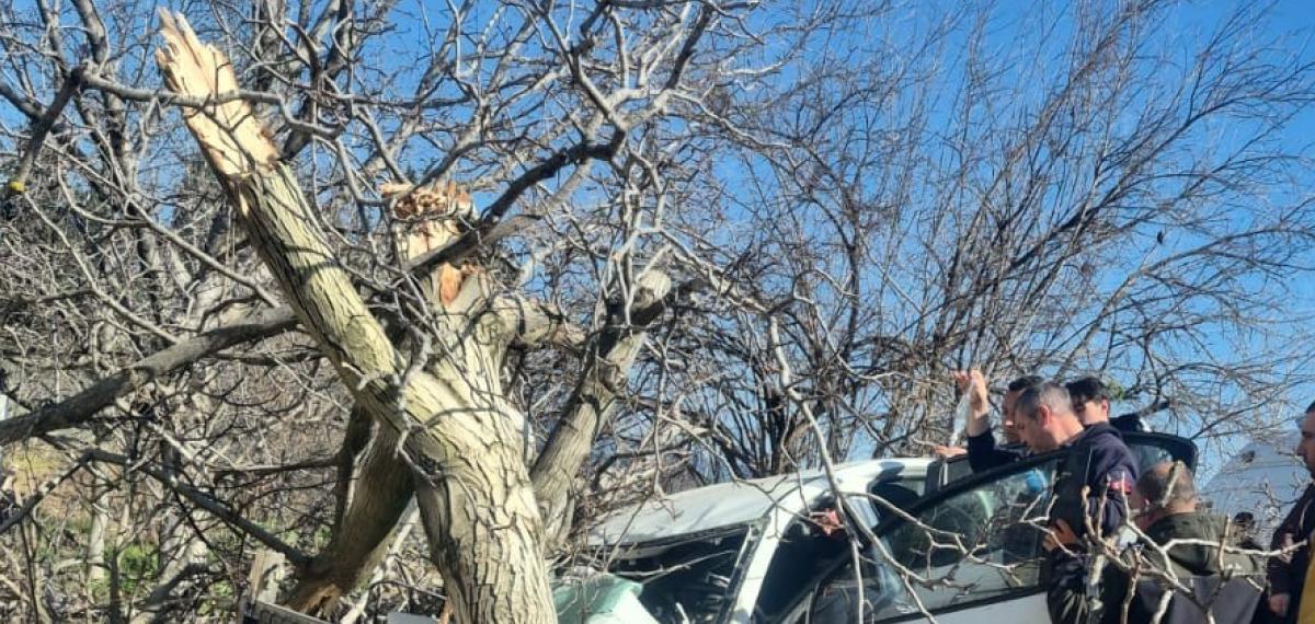 Kontrolden Çıkan Otomobil Ağaçlara Ok Gibi Saplandı: 2 Ölü, 1 Ağır Yaralı