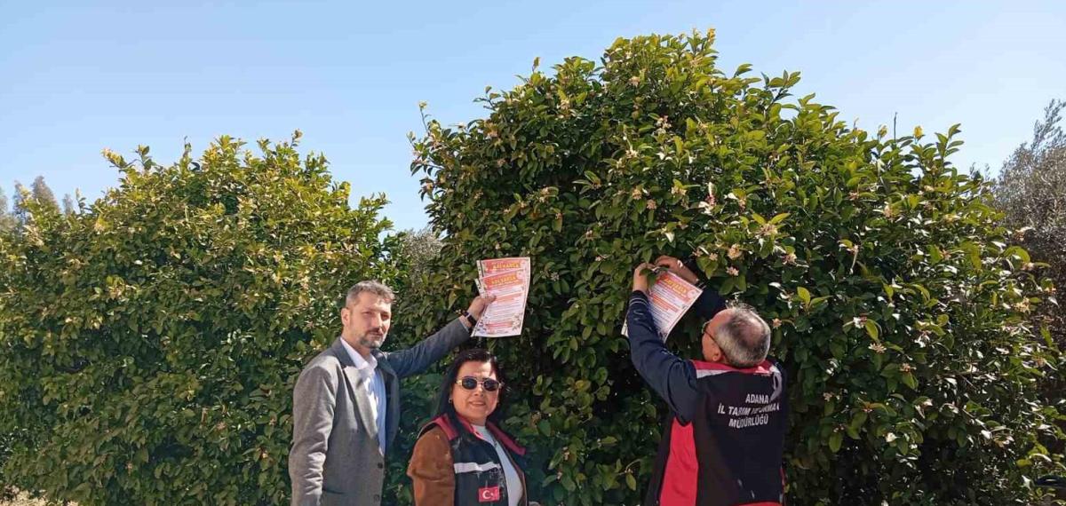 Kozan’da Arıların Korunmasına Yönelik Çalışma Başlatıldı