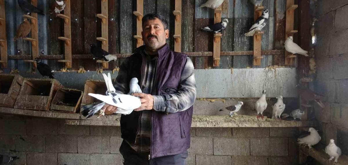 Kuzeninin 7 Yaşındayken Kendine Verdiği Güvercinle Başlayan Hevesini 45 Yıldır Yaşatıyor