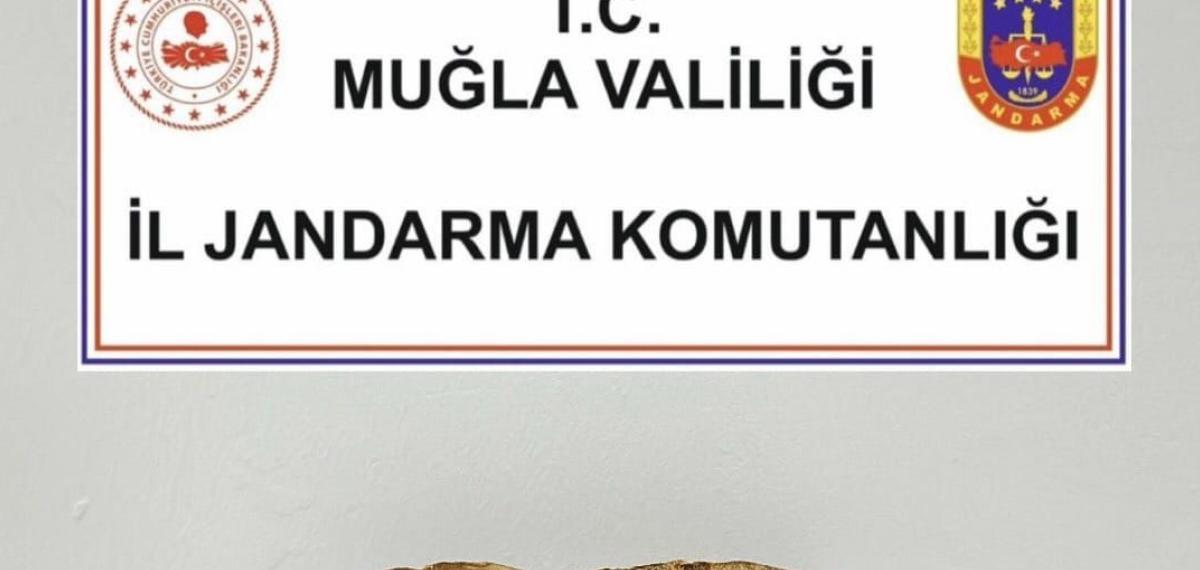 Menteşe’de Tarihi Eser Operasyonu: “600 Yıllık Tevrat Ele Geçirildi”