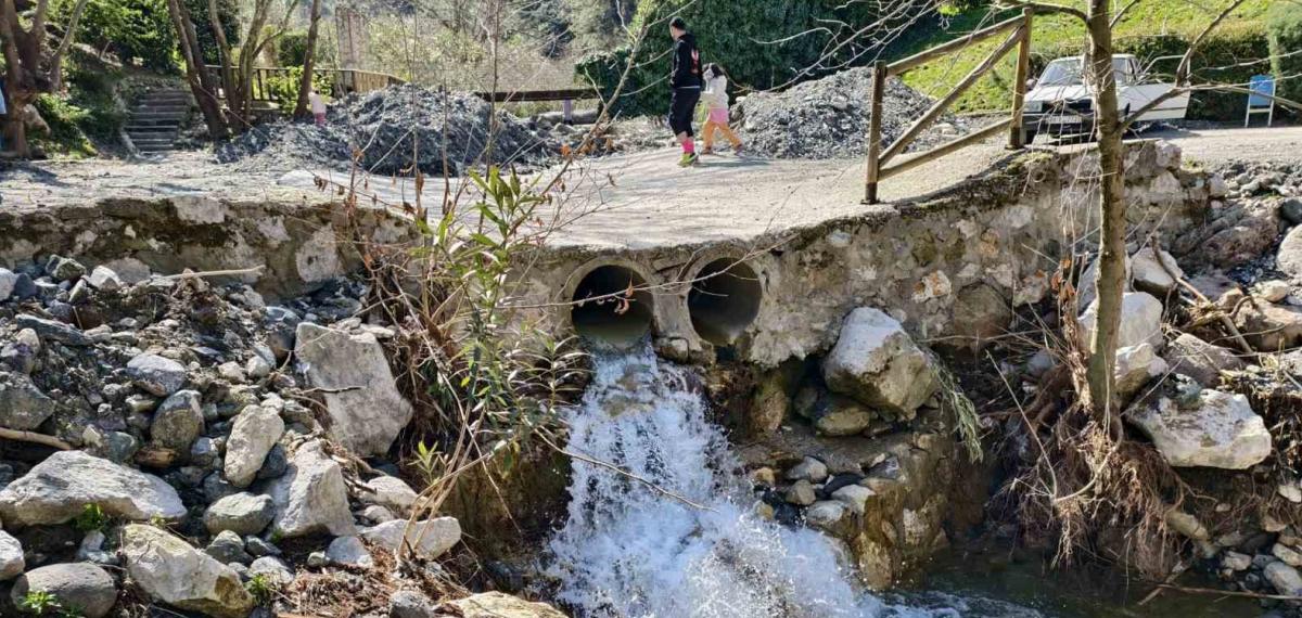 Mesir Tabiat Parkı’na Ziyaretçi Akını