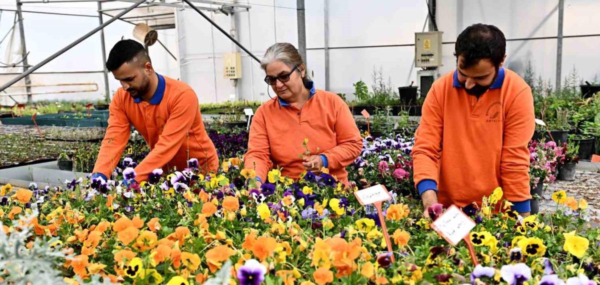 Muratpaşa’dan Örnek Bitki Üretim Modeli