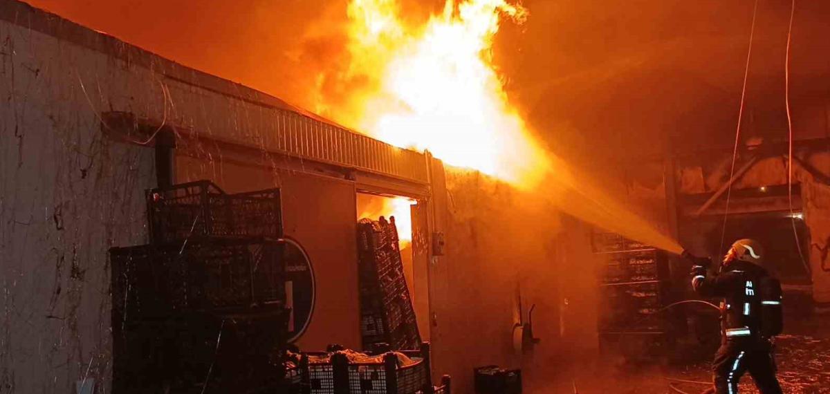 Muz Paketleme Tesisinde Çıkan Yangın Korku Dolu Anlar Yaşattı