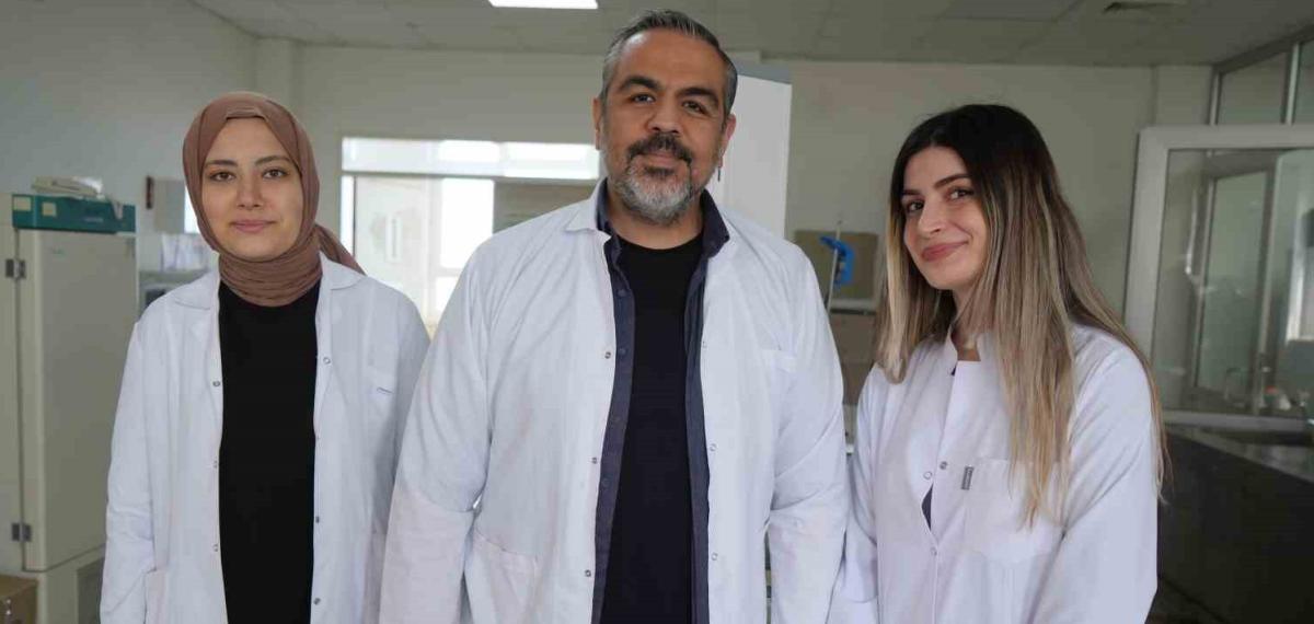 Omü Projesiyle Gıda Endüstrisine Ph Duyarlı Doğal Renklendirici Adayı