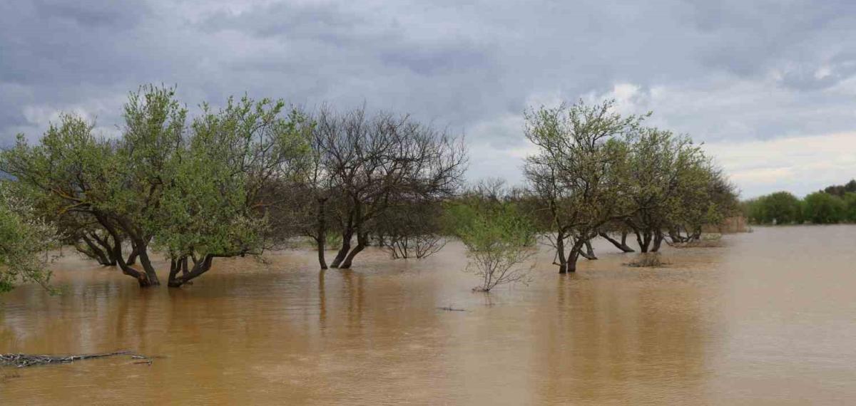 Sağanak Yağış Menderes Nehri’ni Taşırdı